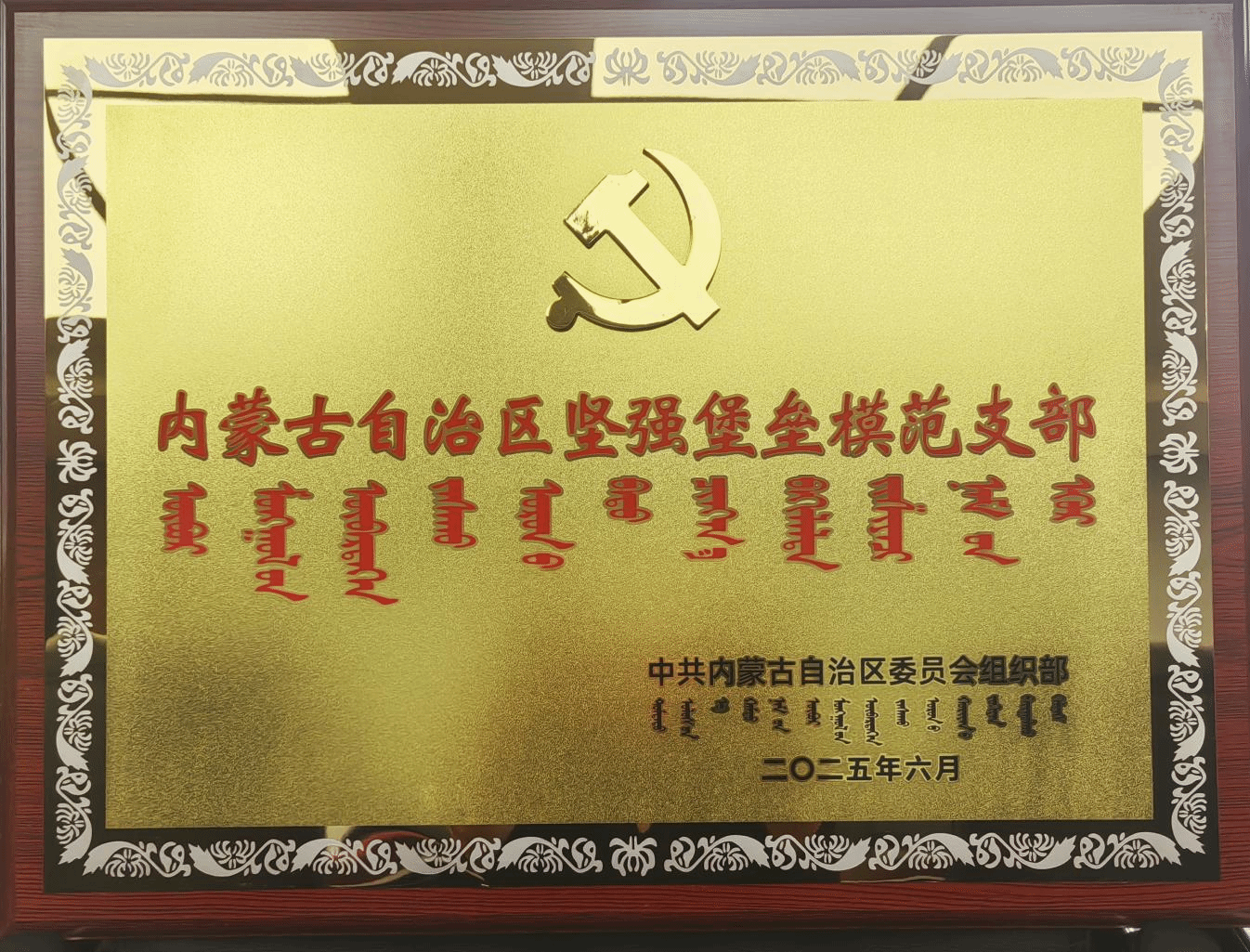 betway精英版
科学技术史研究院黄大年式教师团队党支部获批“内蒙古自治区坚强堡垒模范支部”